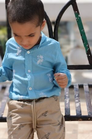 Boys Shirt with Chikankari on Cotton Silk Fabric
