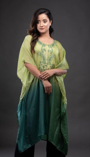 Pure Silk Ombre with Silk Chikankari