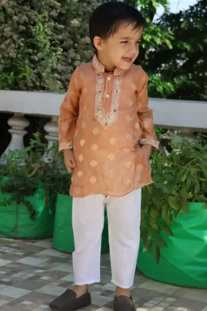 Boys Printed Regular Chikankari Kurta with Pyjamas