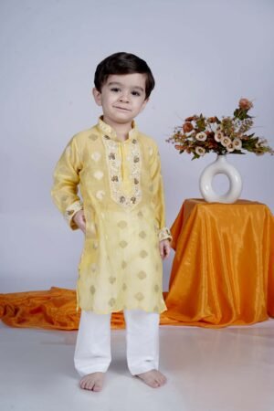 Chikankari Zari Booti Chanderi Kurta and Pajama Set